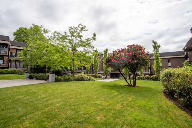 Photo - Cedar Terrace