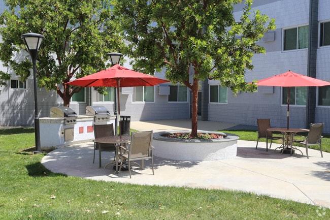 Barbeque