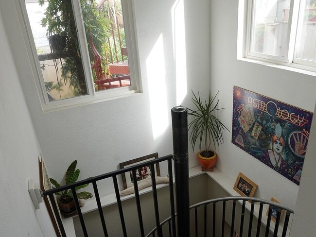 Photo - 22 Cotter St