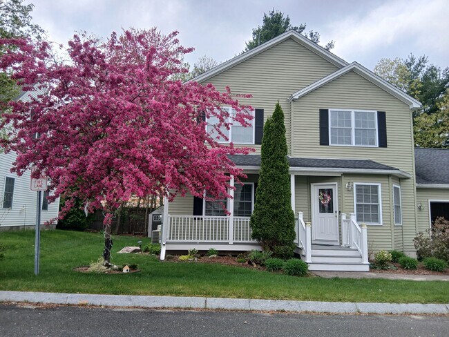 Photo - 6 Courtney Ln