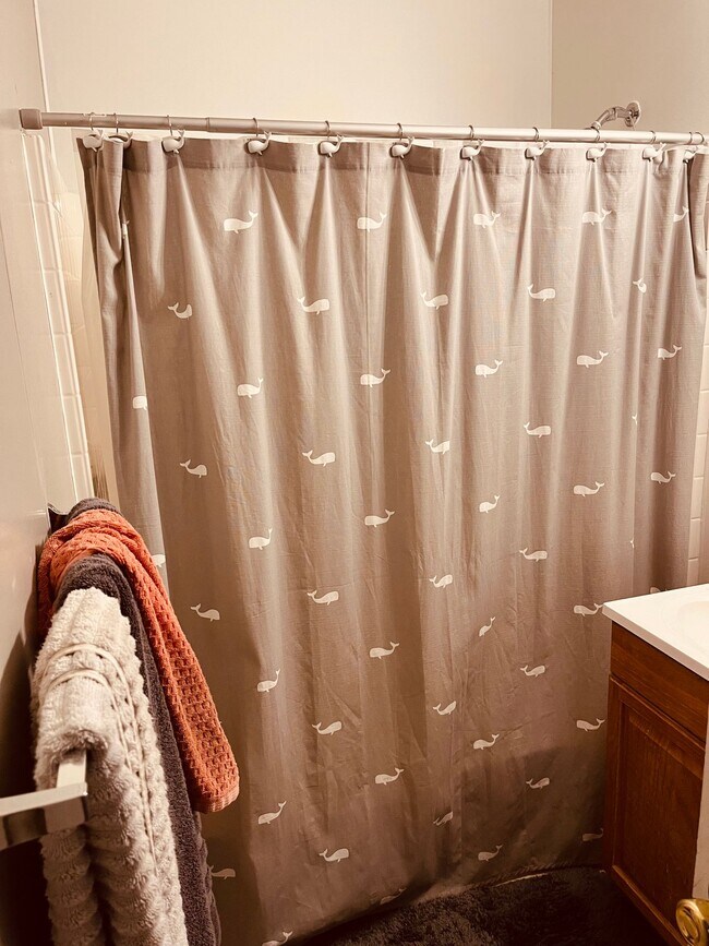 Photo - Beautifully Remodeled 2 Bedroom Apartment Across from UNC with In-Unit Laundry & A/C Unit 2120 10th Ave B