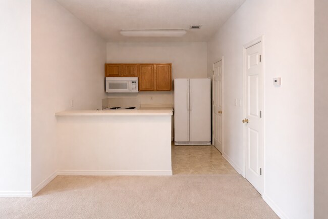 Kitchen - 509 Spartan Dr