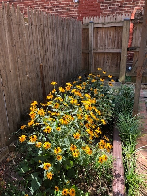 Photo - 1308 Fairmont St NW Unit Apt. 4