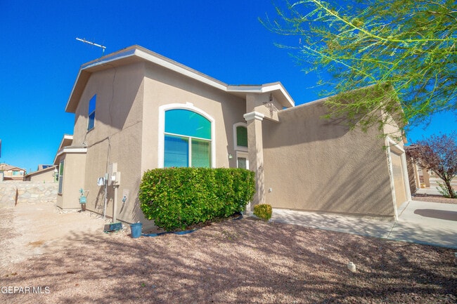 Photo - 14529 Jesus Almeida