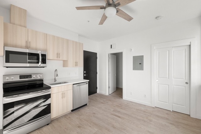 Kitchen - Brooklyn Flats