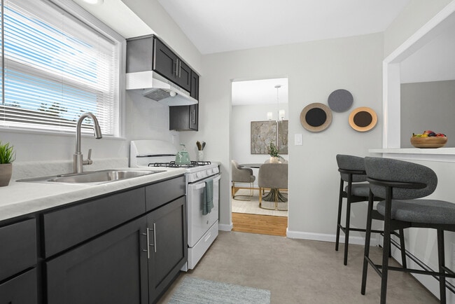 Photo - Cypress Gardens