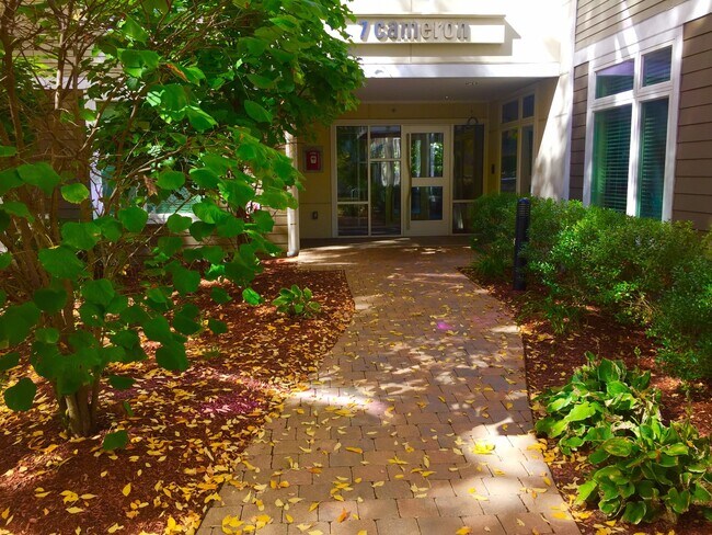 Photo - 7 Cameron St Unidad 109H