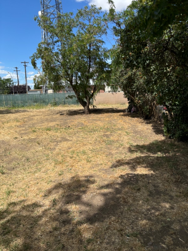 Photo - 707 N 12th Ave