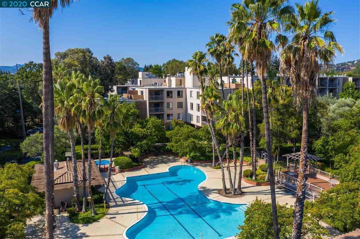 Main Pool & Hot Tub - 310 N Civic Dr (Walnut Creek, CA)