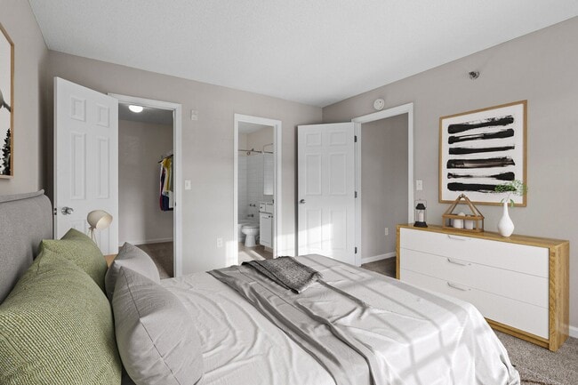 Photo - Mallard Creek