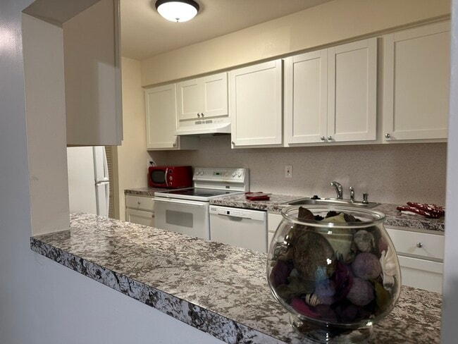 Photo - 703 Camelback Ct