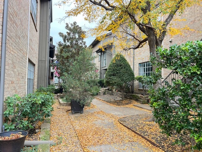 Photo - High Hollows