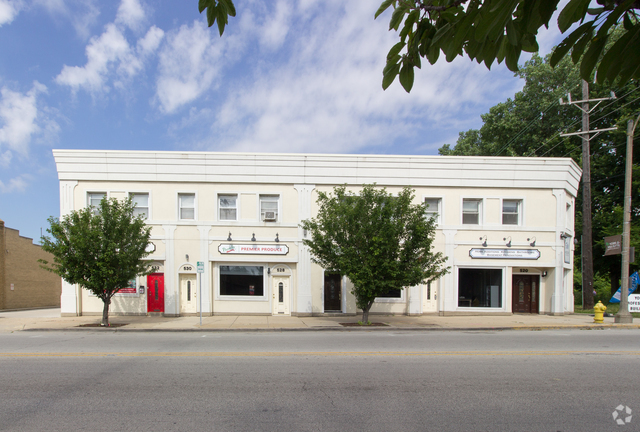 Building Photo - 526 S York St Rental