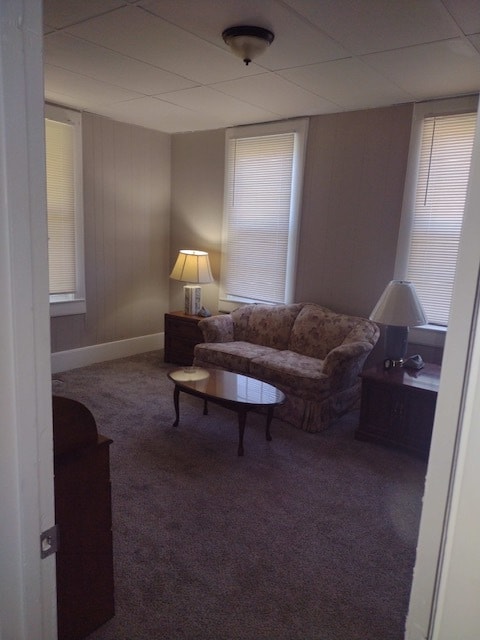 Living room - 529 Olive St Unit 529OliveSt.#1down