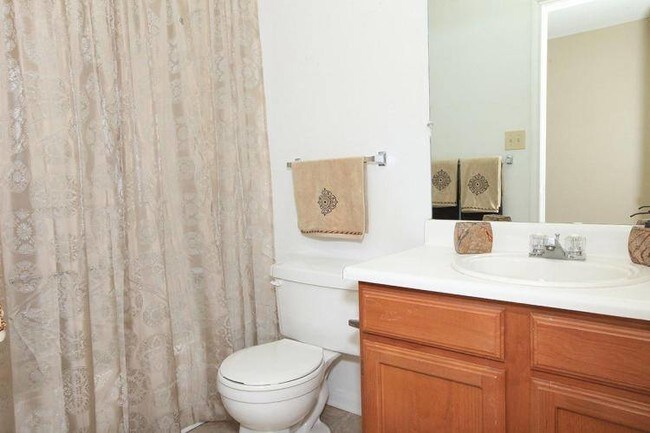 Bathroom at Forest Ridge Apartment Homes in Ft. Mill, SC