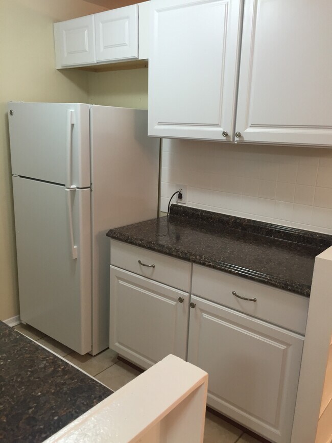 KItchen 2 of 2 - 4319 Americana Dr Unit 103