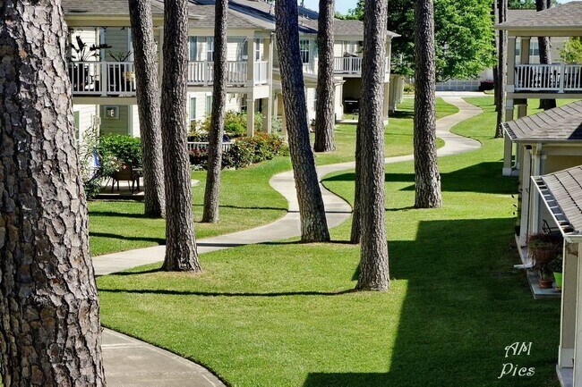 Photo - 13600 Breton Ridge St