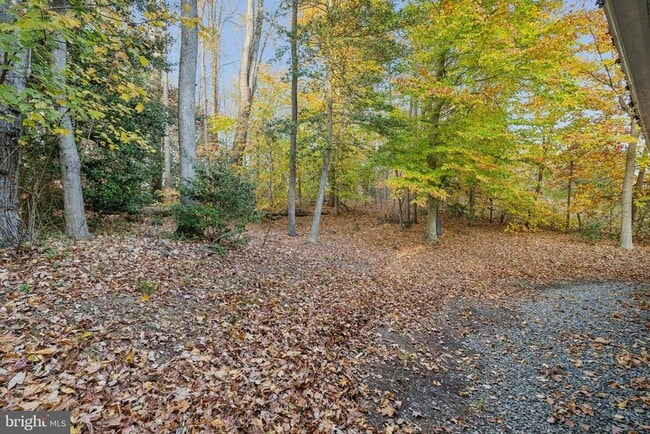 Photo - 1317 Charleston St