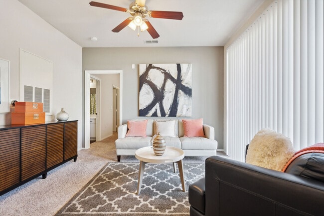 Photo - Vista Lake Ned