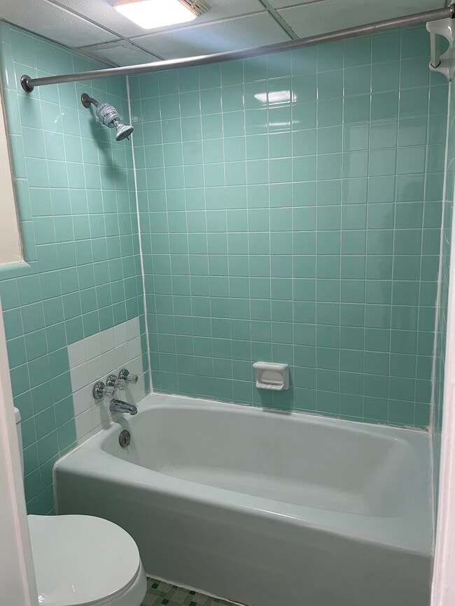 College View Apartments