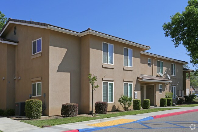Hall Street Apartments - Hall Street Apartments