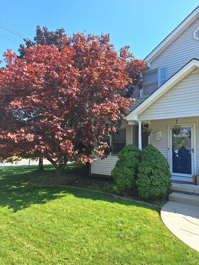 Front Door - 55 center ave Townhome