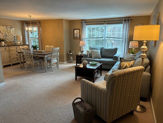 Living Room - 20 Guilford Ln Condo Unit 8