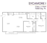 sycamore.png