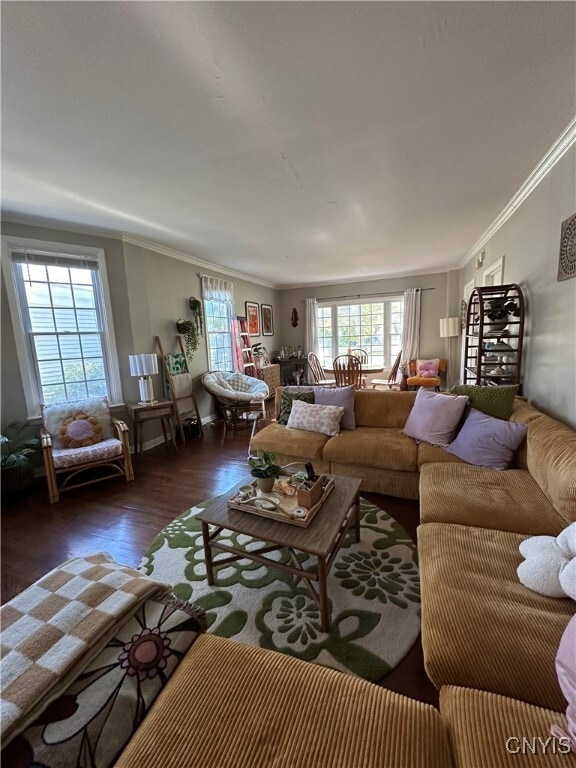 Photo - 1801 James St