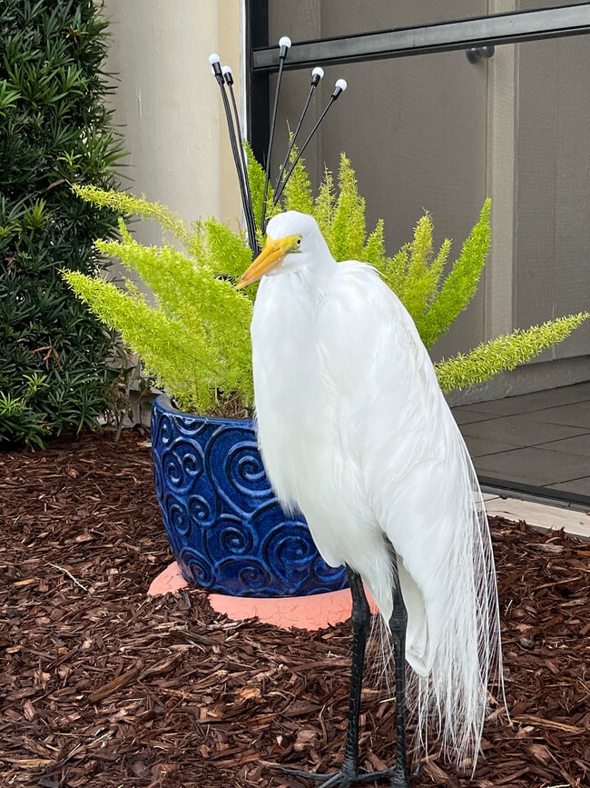 Building Photo - 6180 Sun Blvd Unit D111