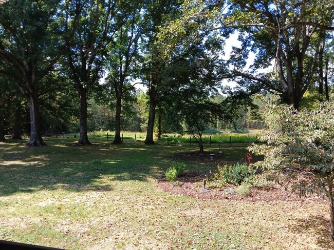 Photo - 2174 Grubby Rd