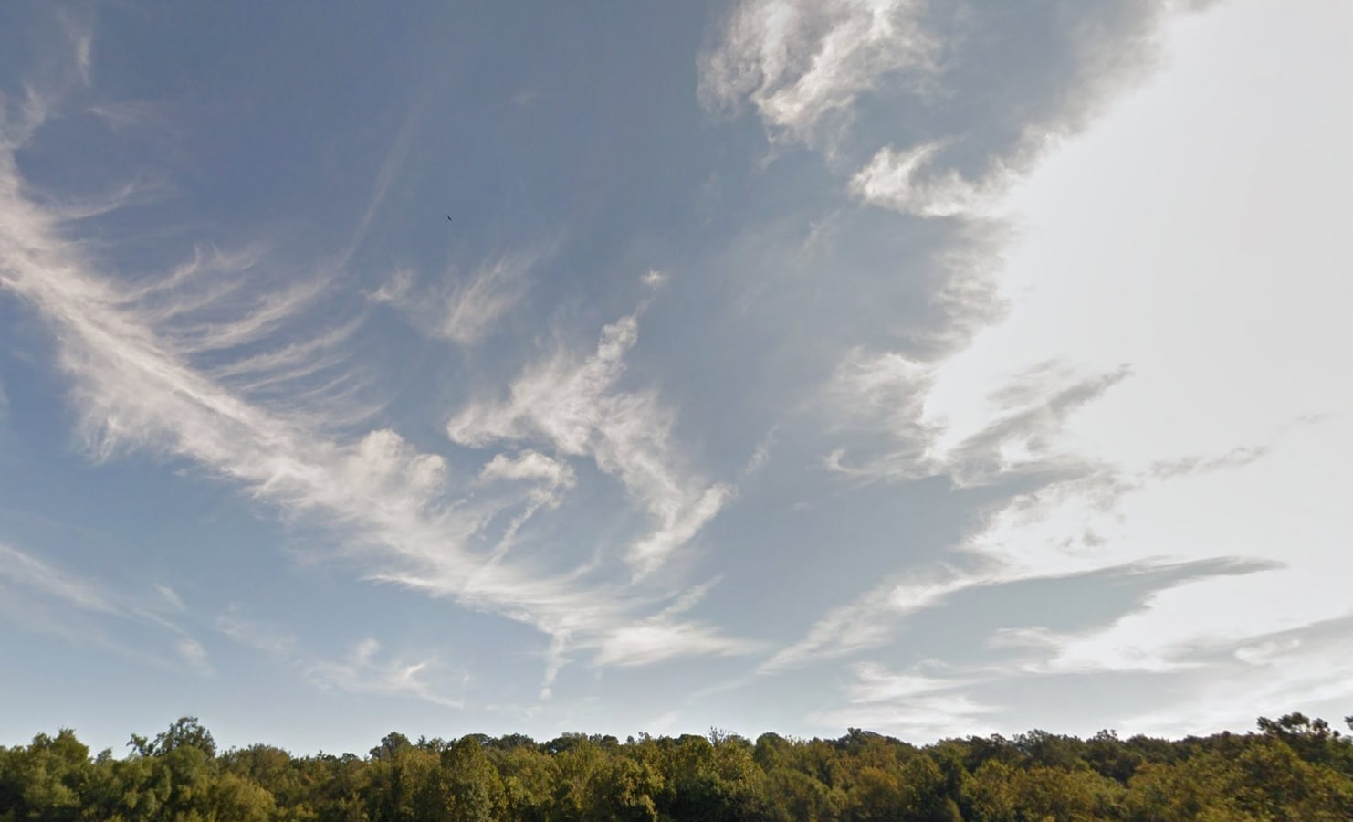 Photo - 6608 Edsall Rd Unit 1