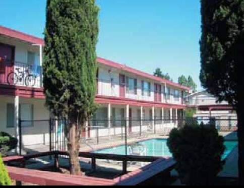 Pool - Robin Lane Apartments