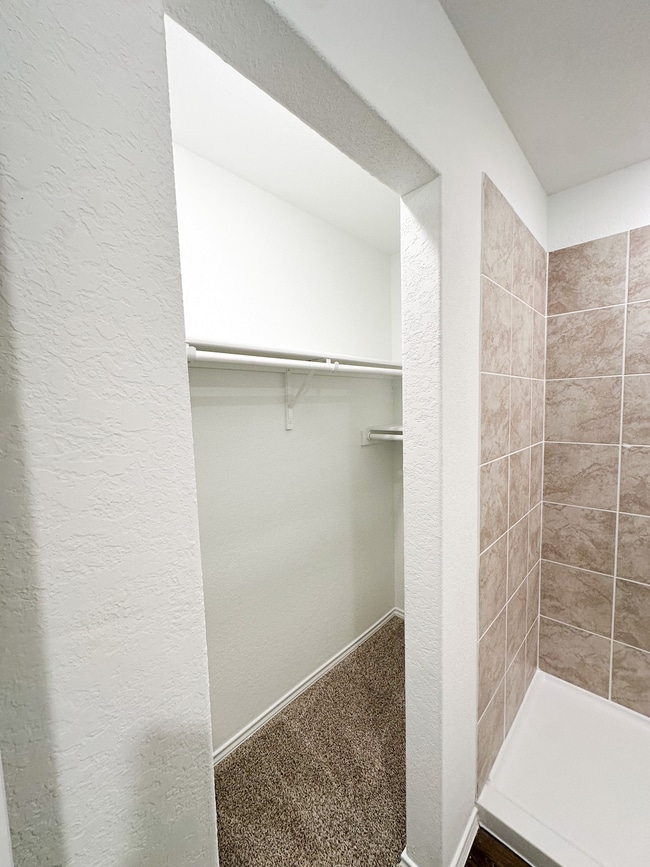 Photo - 14710 Candelabra Cactus