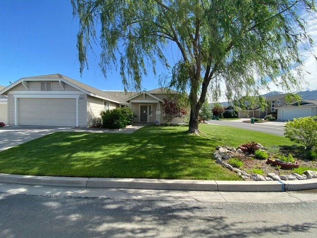 Building Photo - Sky Vista in Stead - Single Story Home with Fireplace and Mountain Views