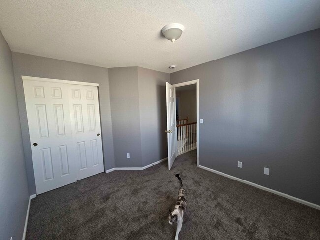 Photo - 3922 Malaya Ct