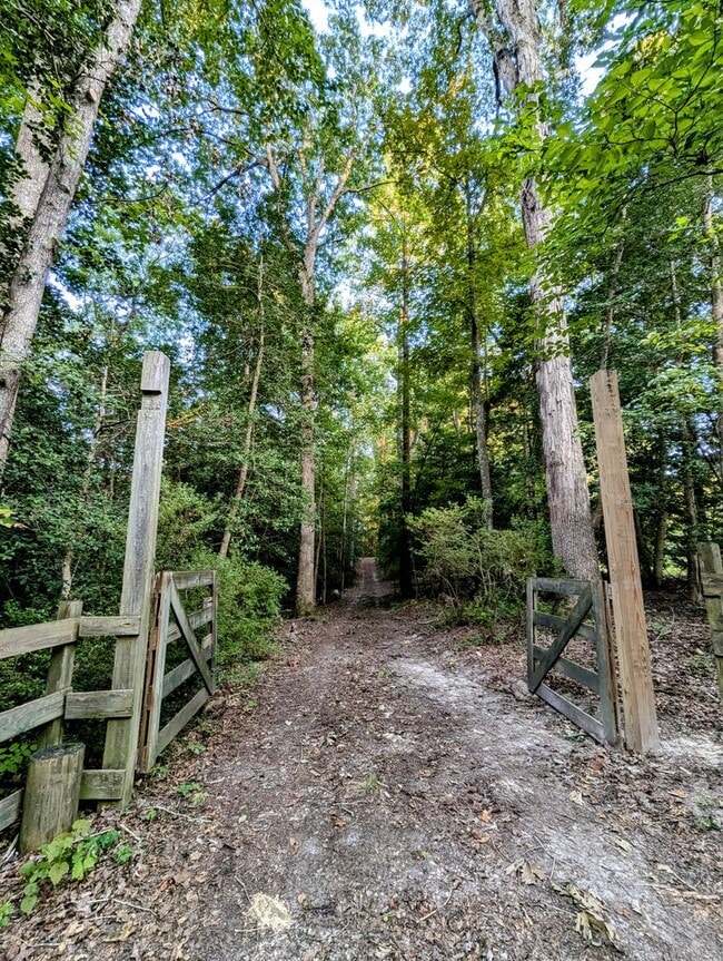 Photo - 10124 Holly Forks Rd