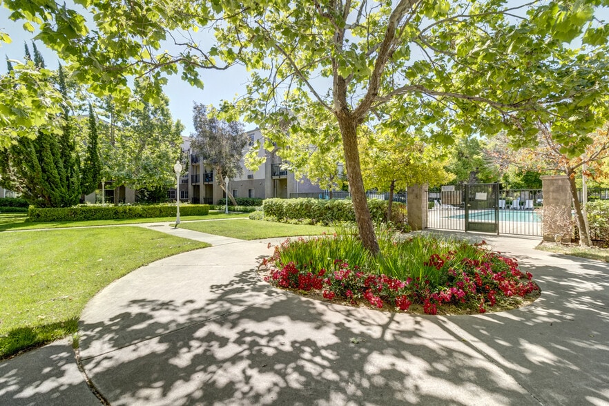 Courtyard and Pool