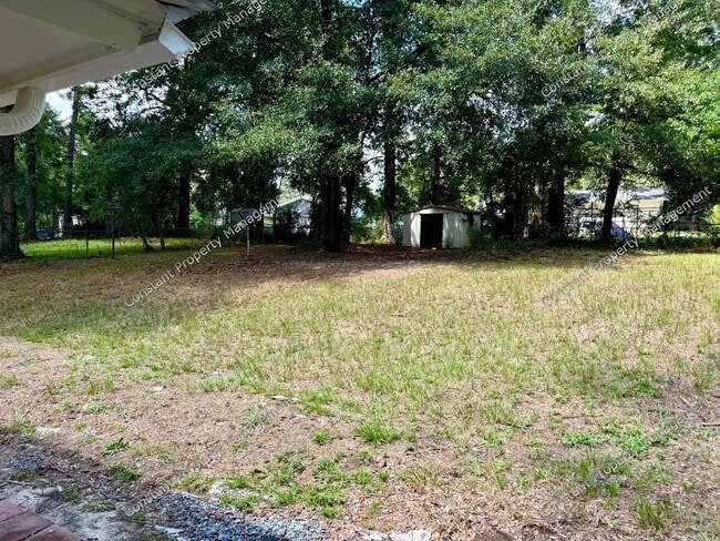 Photo - Elegant Elkin!