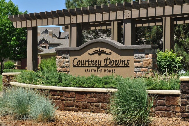 Bienvenido a Courtney Downs