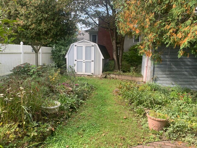 Back Yard with Shed - 42 Chappell St Unidad Lower