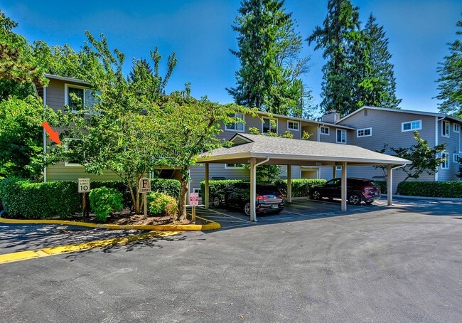 Photo - Echo Lake One Bedroom Unit F201
