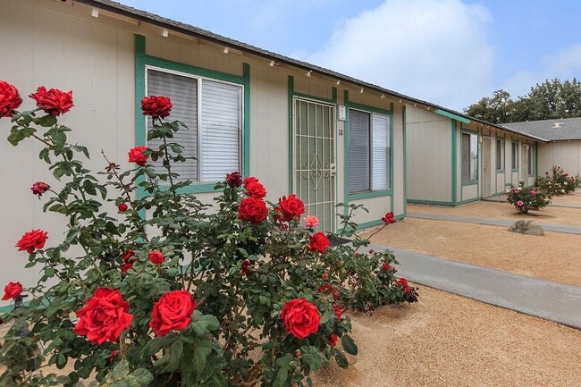 Stine Country Apartments