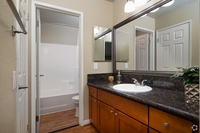 2BR, 1BA - 855SF - Bathroom