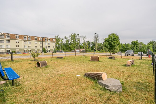 Parque para perros - Enclave at Brockport