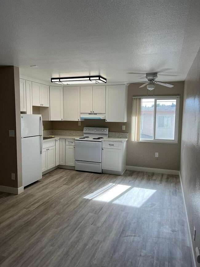 Photo - Carmichael Cove