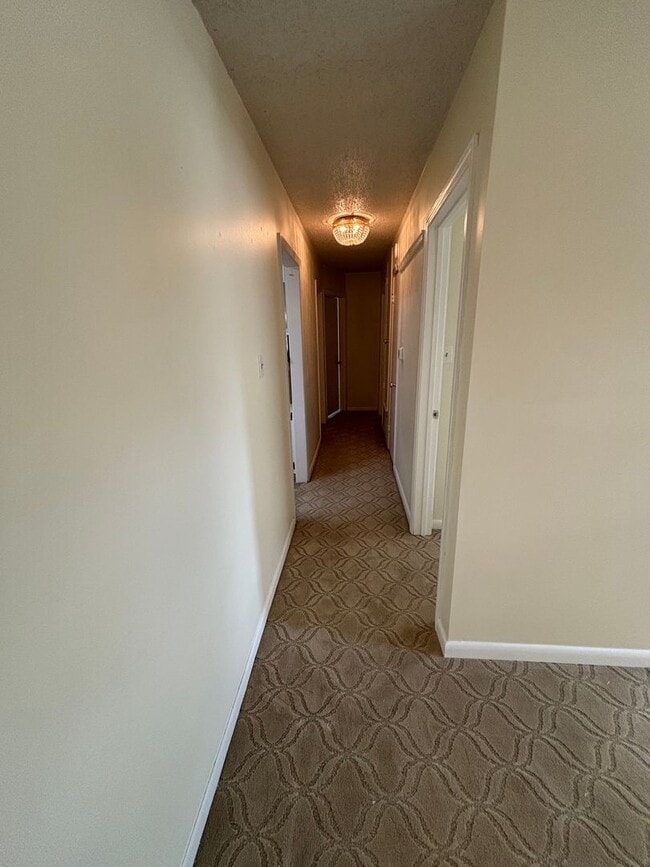 Photo - Central Bossier Beauty!