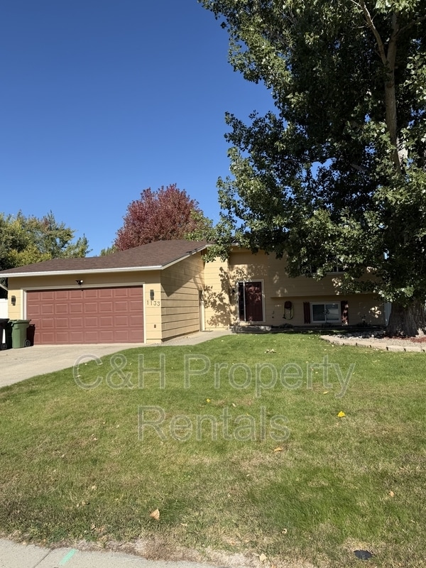 Photo - 1133 Minuteman St