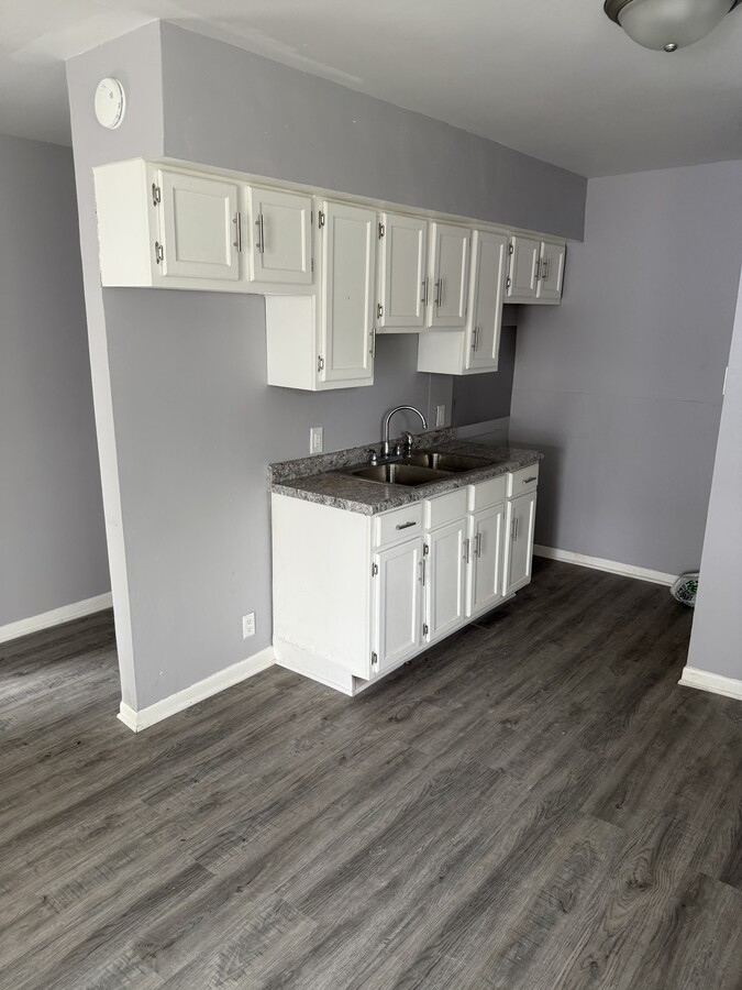 Newly Renovated Kitchen - 254 E Jackson St Unit 1R