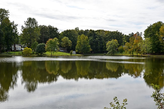 Photo - The Forest Apartments